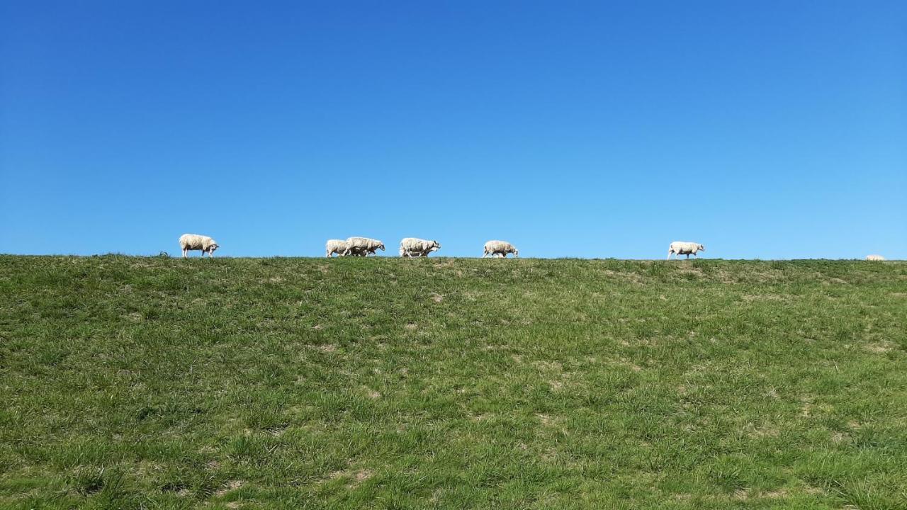 Fewo-butze 1 * Dornumersiel